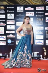 South Indian International Movie Awards 2016 Day 2